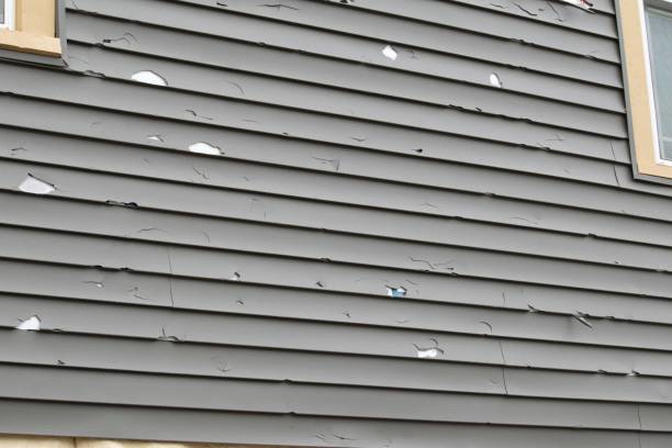 Affordable Siding Repair and Maintenance Services in St Leo, FL